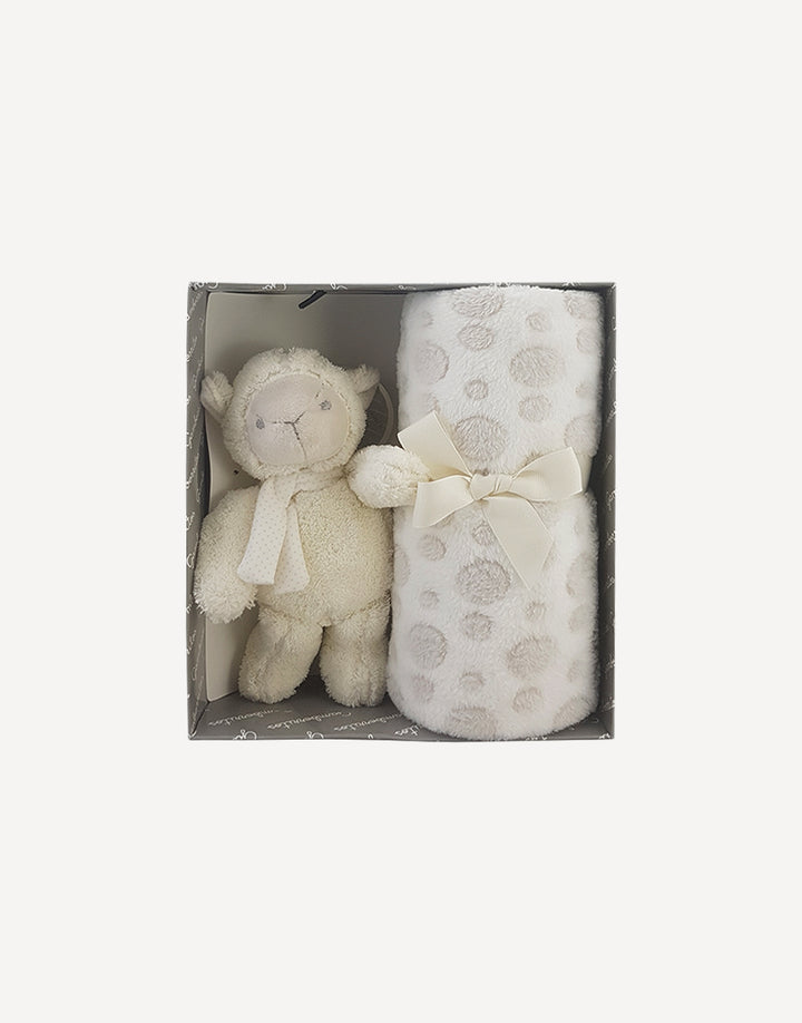 Baby blanket and teddy gift set